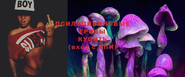 каннабис Горнозаводск