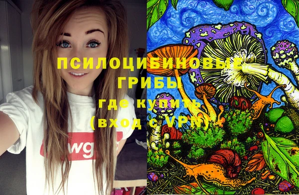 бошки Горно-Алтайск