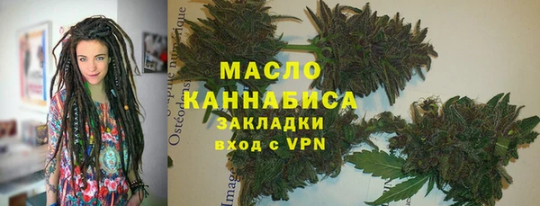 молекула духа Горняк