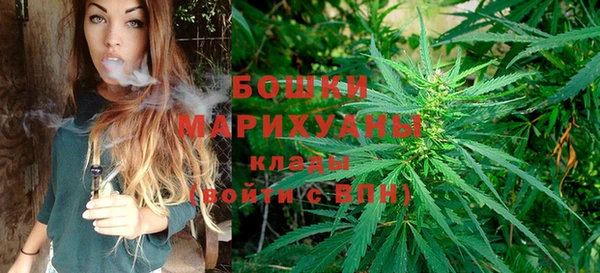 молекула духа Горняк