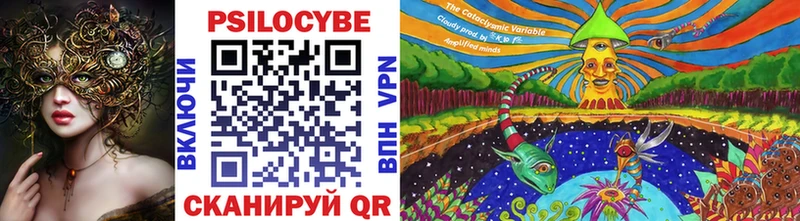 дарнет шоп  Грайворон  Галлюциногенные грибы MAGIC MUSHROOMS 